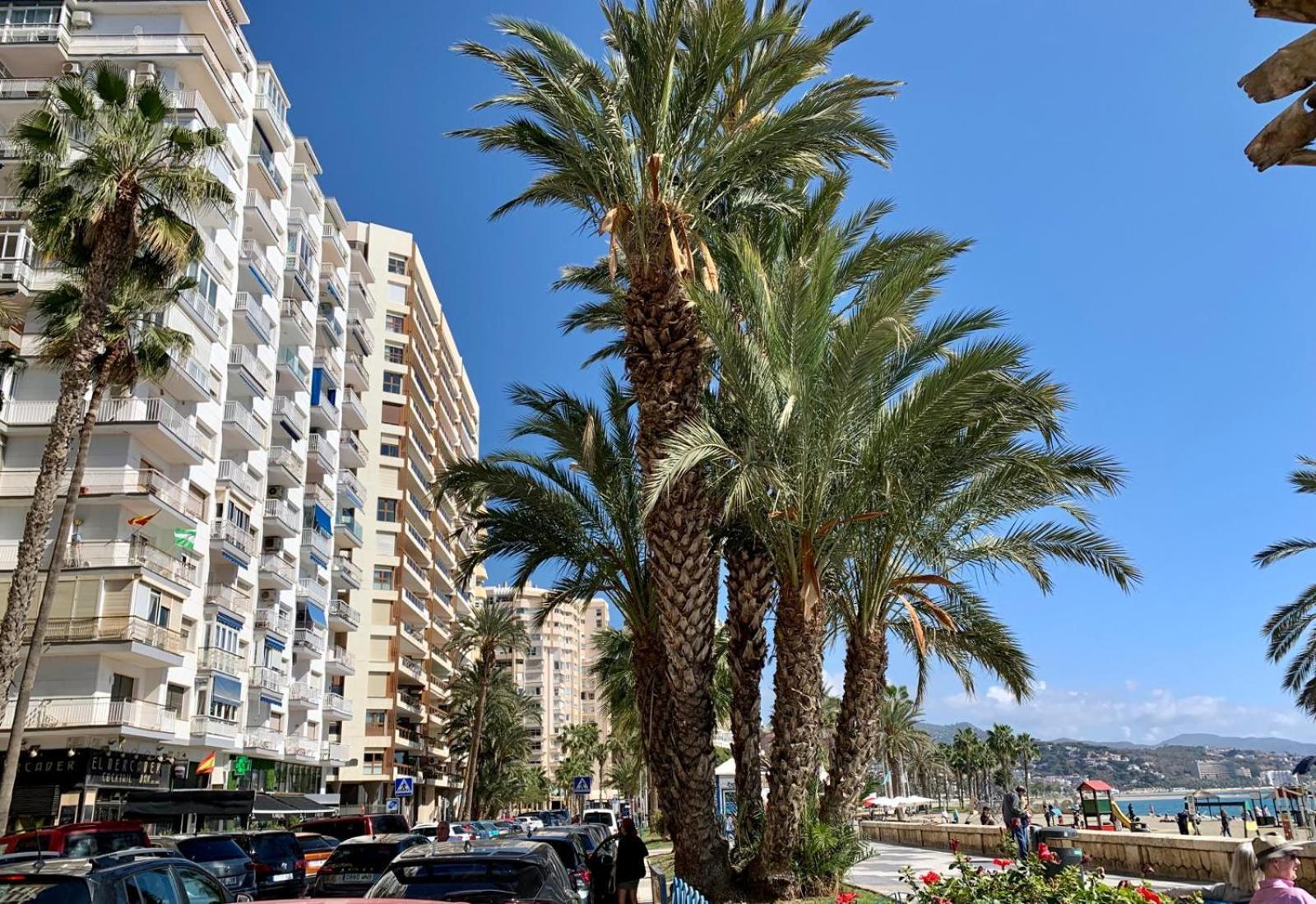 Estudio En Playa La Malagueta Málaga Eksteriør bilde